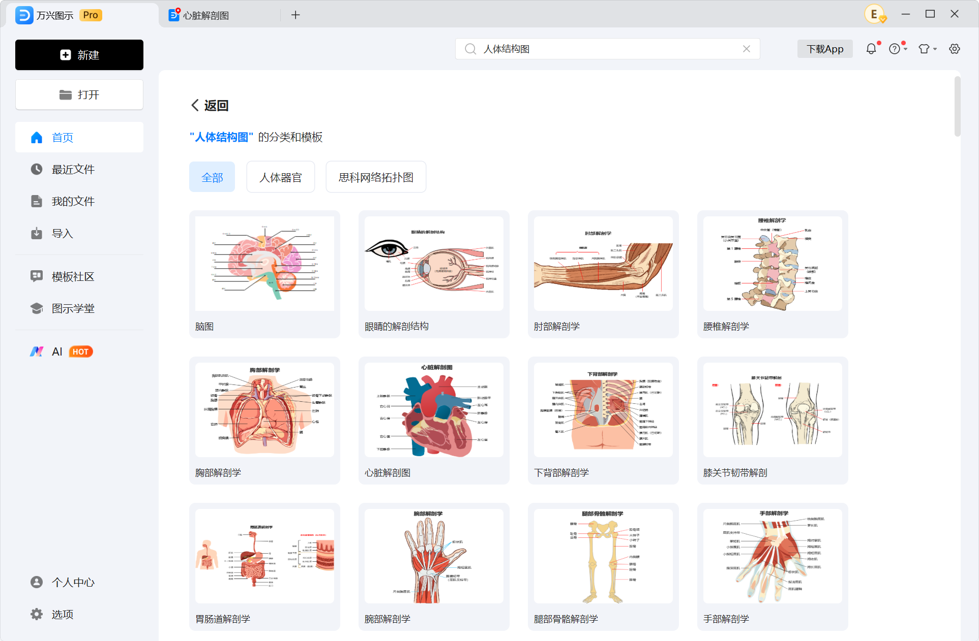 选择人体结构图模板