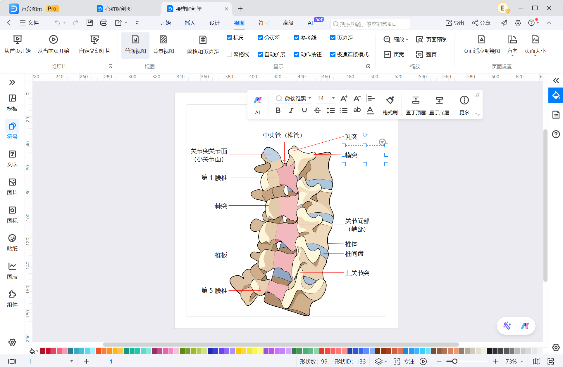 编辑人体结构图