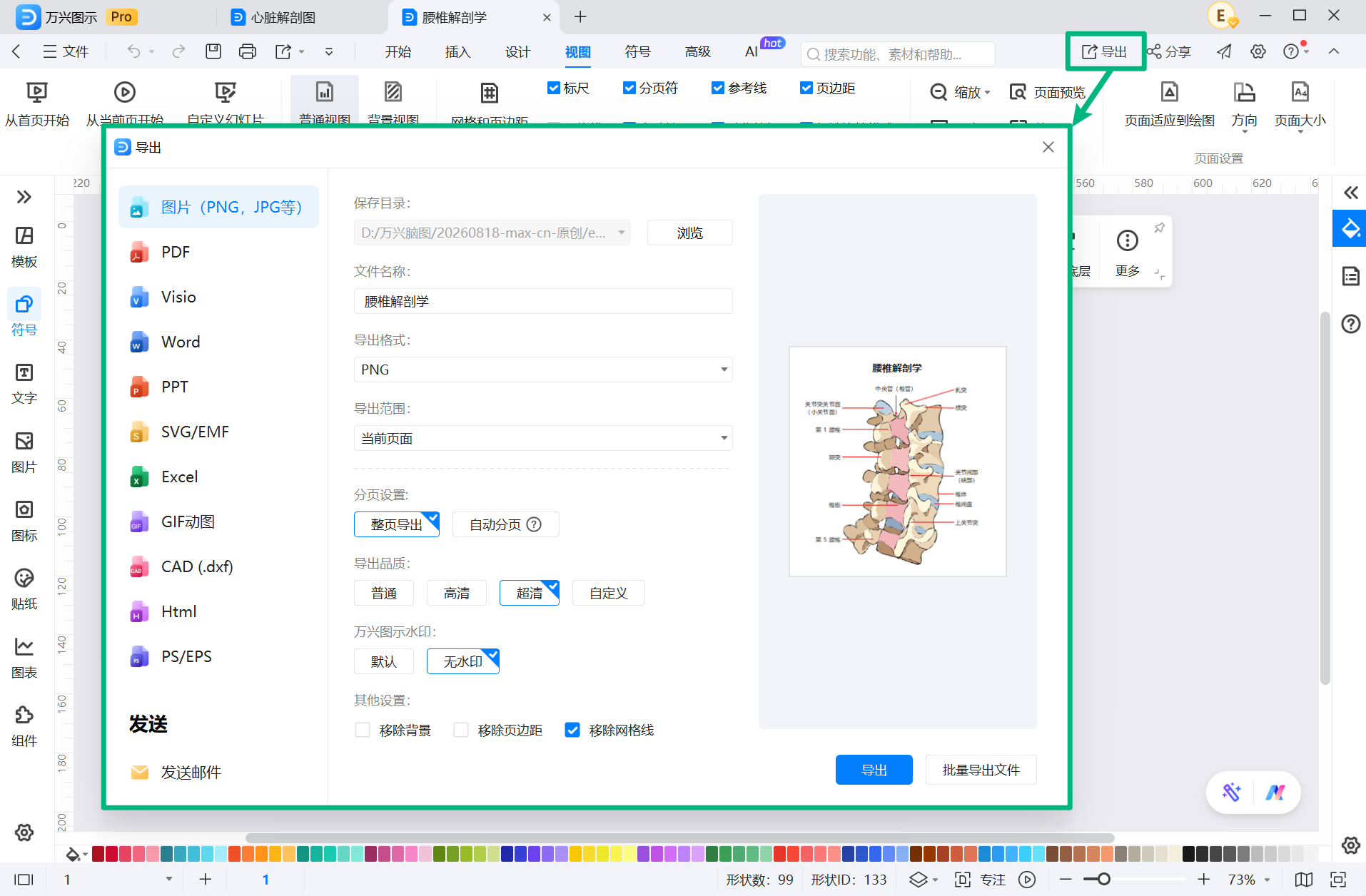 导出人体结构图