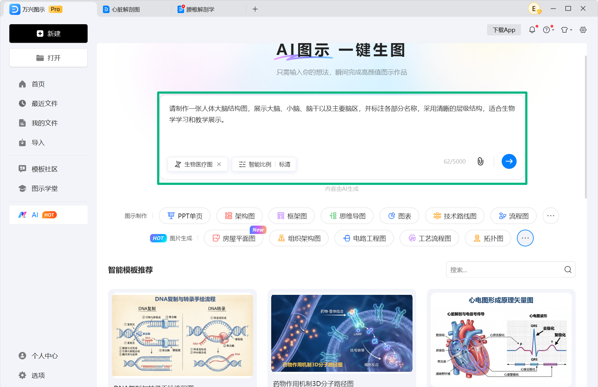 输入人体结构图 AI 提示词