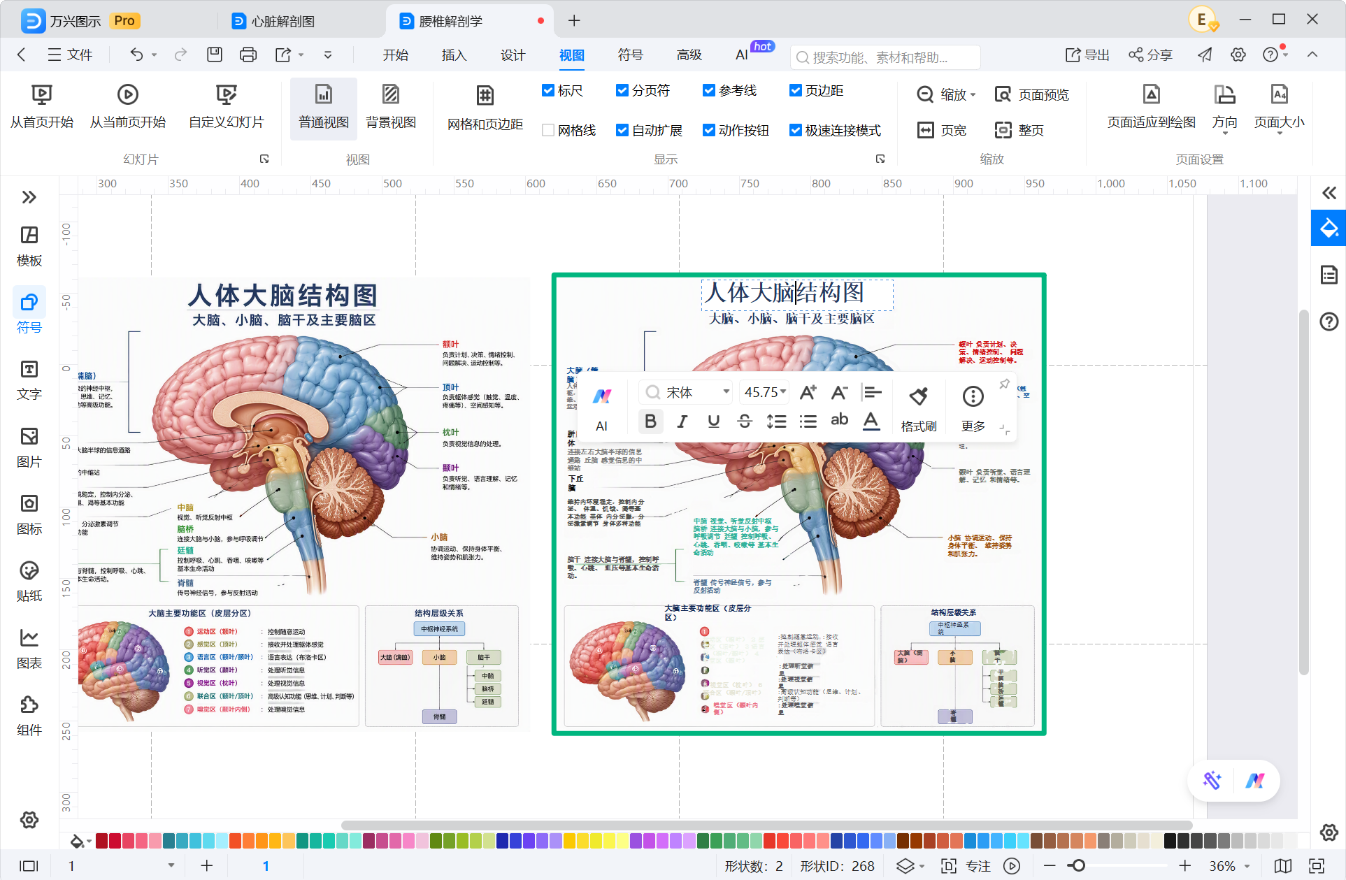 查看人体结构图可编辑元素