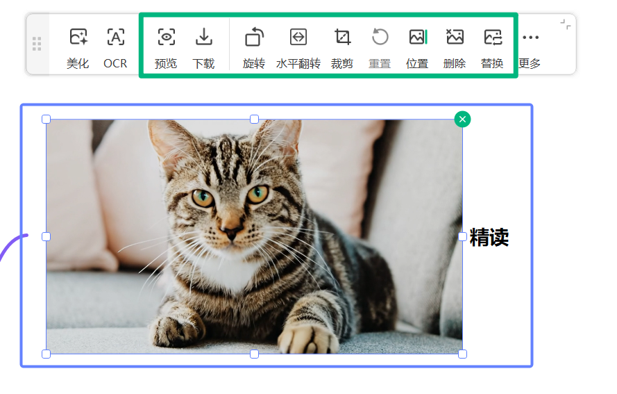 万兴脑图基础图片编辑工具