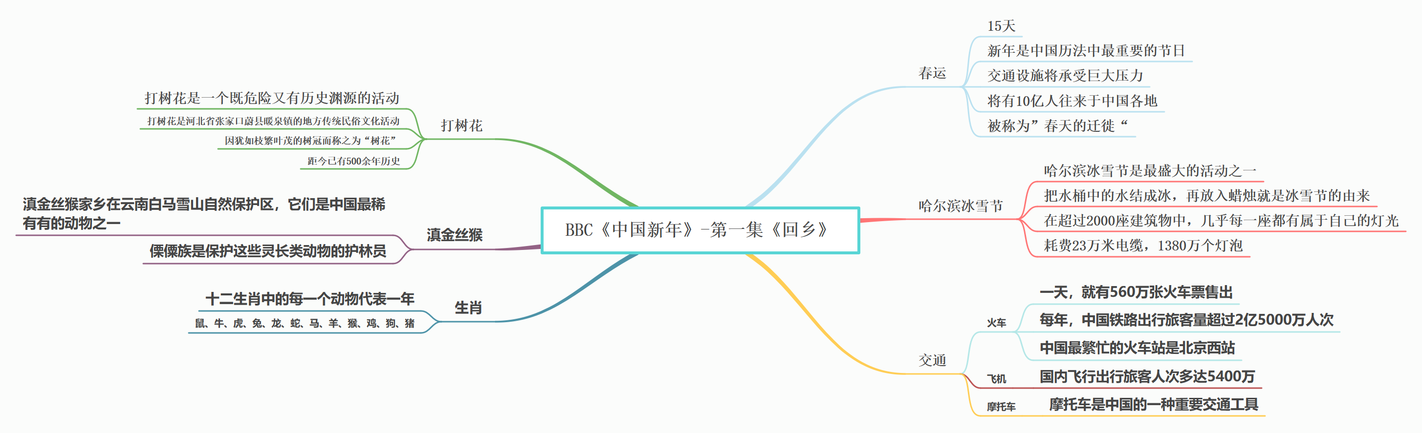 BBC中国新年讲了什么：《回乡》六个主题观影笔记