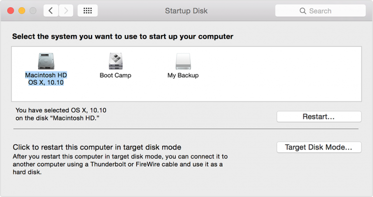 具有磁盘首选项的启动mac