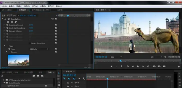 三、Adobe Premiere Pro