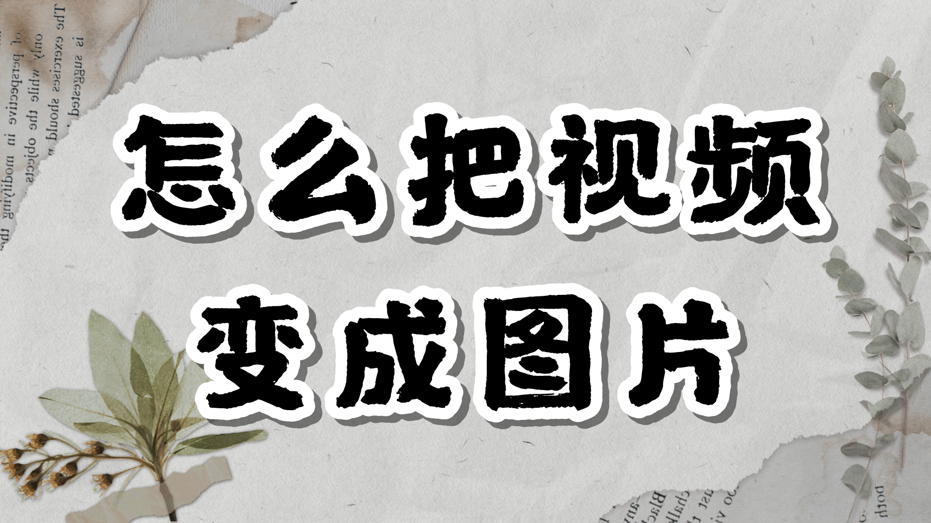 怎么把视频变成图片_万兴喵影怎么把视频变成一帧一帧的