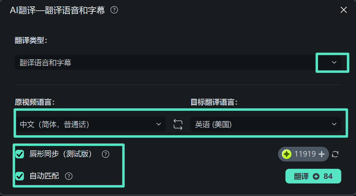 设置翻译参数