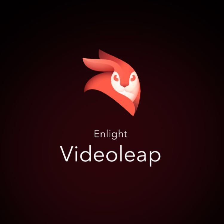 videoleap